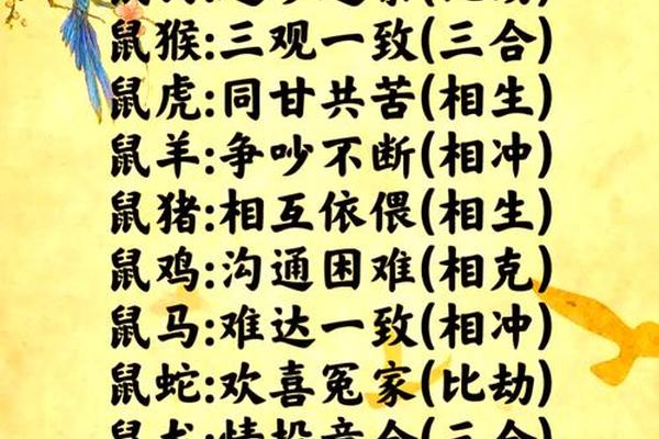 属鼠和什么属相最配婚姻最合适