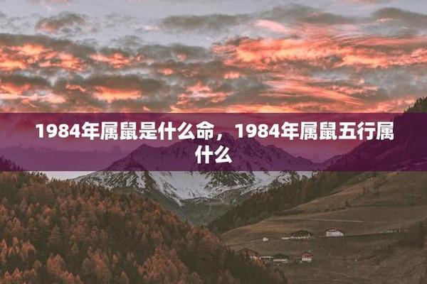 1984年属鼠人的2021年运程