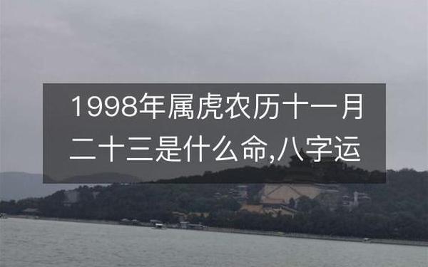 属虎的98年什么命-1998年属于什么命 属虎的98年什么命-1998年属于什么命