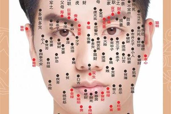 相痣图解的成语,痣相大全详解