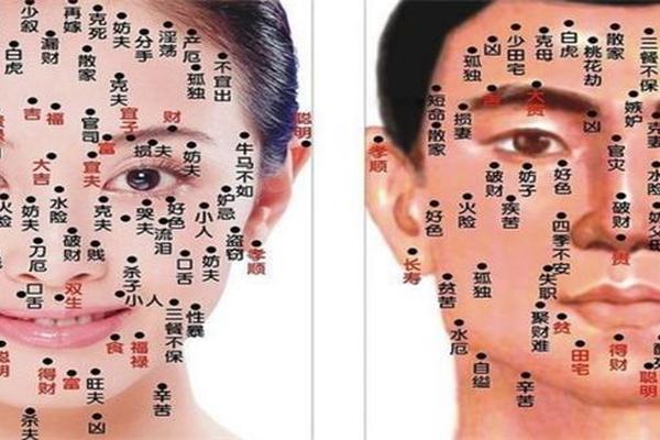 女人痣相全身 女人身上部痣相最准图