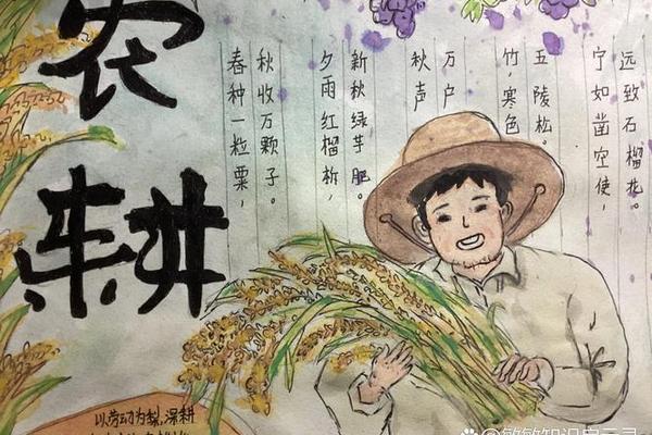 耕读文化手抄报一年级—关于农耕文化的手抄报