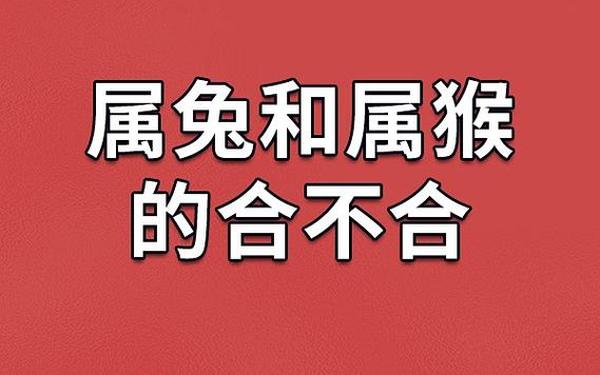92年属猴与属兔的能婚配吗-92年猴结婚忌什么属相 92年属猴与属兔的能婚配吗-92年猴结婚忌什么属相