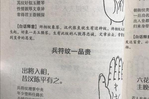 麻衣相手掌有痣解图 麻衣手相算命图解 麻衣相手掌有痣解图 麻衣手相算命图解