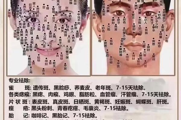 脸部看痣相算命图解、男人面部有痣图解