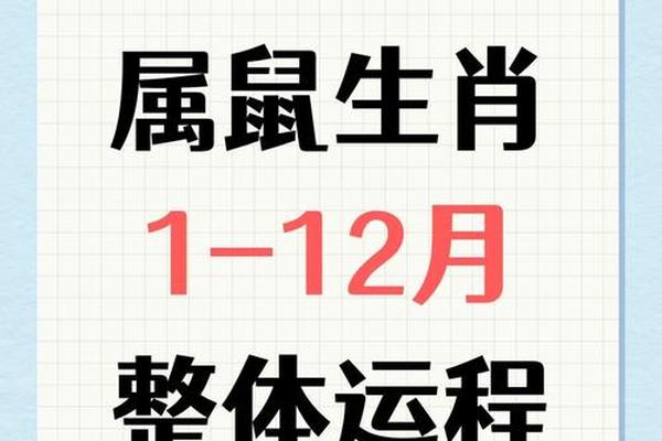 1972年鼠在2022年运势