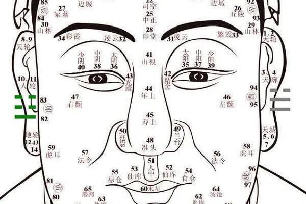 官太太的痣相(大官痣相)