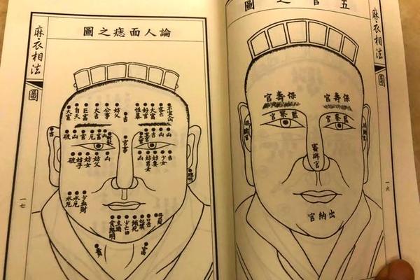 麻衣神相前脖痣;麻衣相术面痣图解