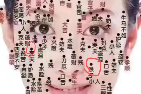 少奴痣相的运势—无奴仆痣的意思是什么