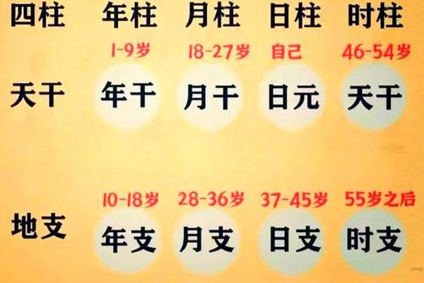 生根八字
