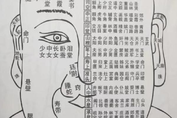 王侯将相痣相 中国古代痣相大全书 王侯将相痣相 中国古代痣相大全书
