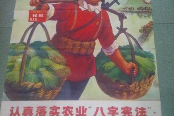 八字宪法