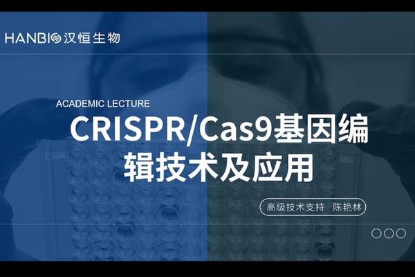 文化基因解码理论在包装上的应用、基因编辑技术的应用