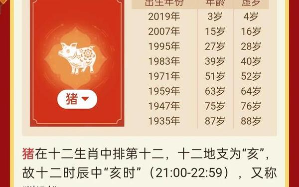 属猪的哪年出生查询表,属猪的哪年出生几岁了啊 属猪的哪年出生查询表,属猪的哪年出生几岁了啊