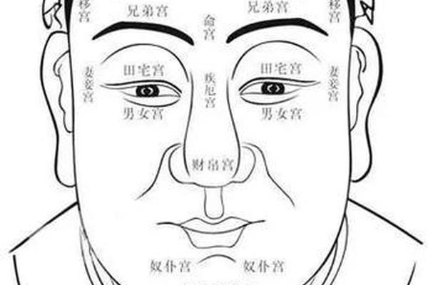 麻衣神相头顶一颗痣;头顶上有痣人的命运