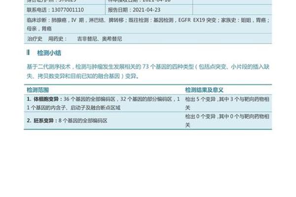 文化基因及解读_基因检测报告解读