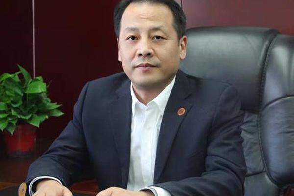 艺术文化有限公司(中国文化艺术有限公司董事长)