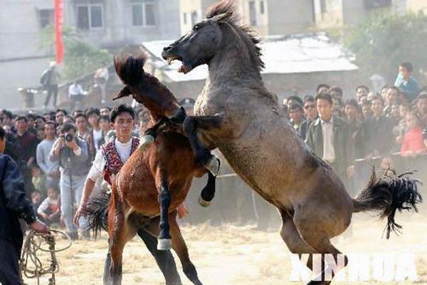 传统民族文化斗马第十九回、传统民俗文化有哪些