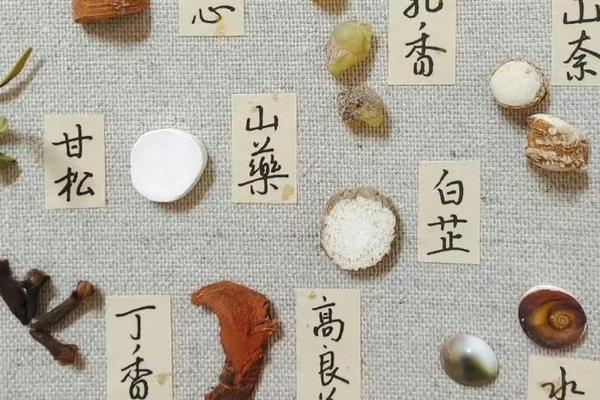 中医药文化传承与发展,中医中华瑰宝