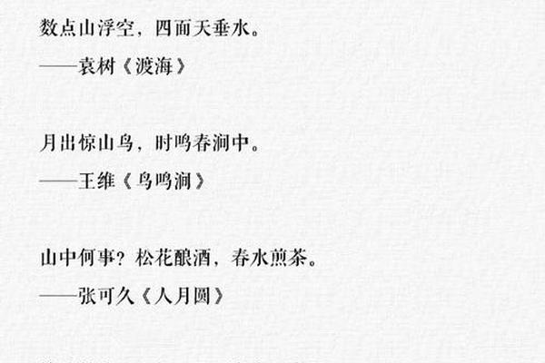 诗词文化的魅力文案;诗词文化的魅力和底蕴