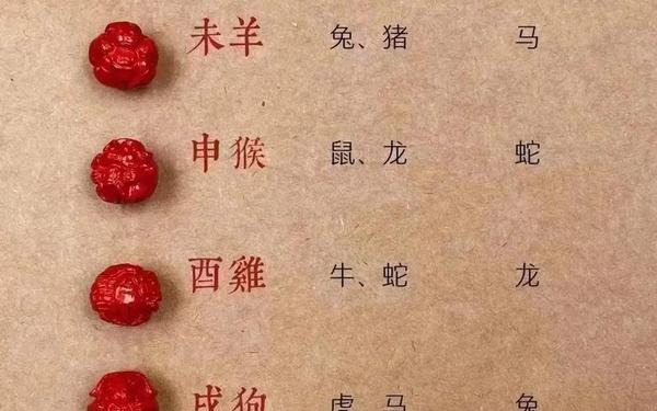 属兔的和属龙的合财吗 属兔的和属龙的合财吗