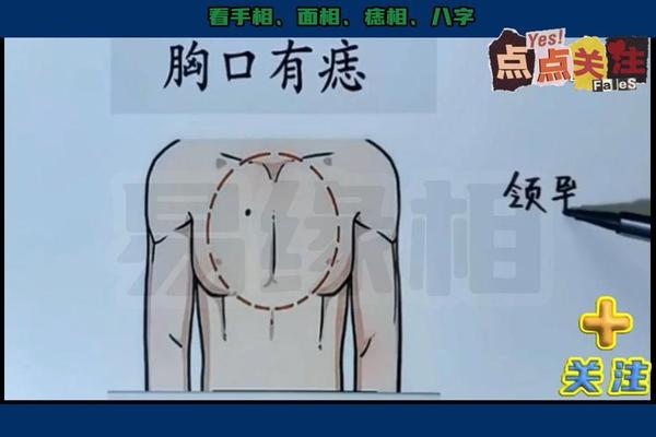 女人胸痣相全解 胸口的痣图解女