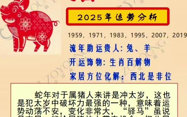 属猪95年多少岁 属猪95年多少岁