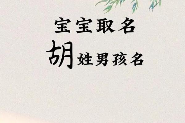 爸爸姓胡给宝宝起名字