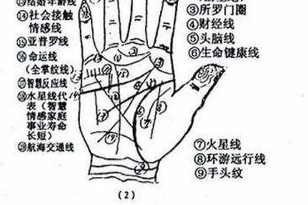 看身上痣相算命图解男 手上痣相图解大全