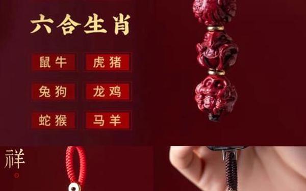 属兔跟属龙的做生意合财吗 属兔跟属龙的做生意合财吗