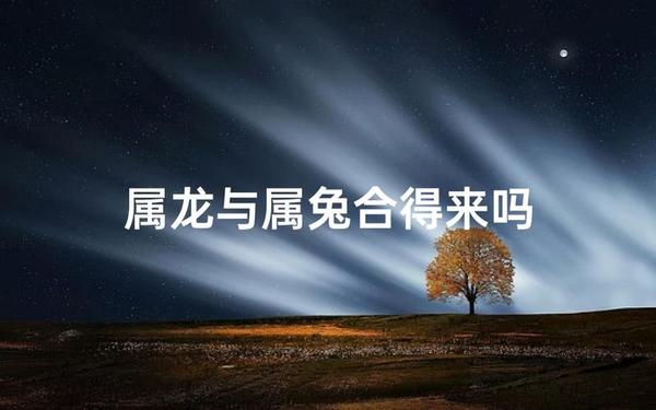 属兔跟属龙的人相配吗 属兔跟属龙的人相配吗