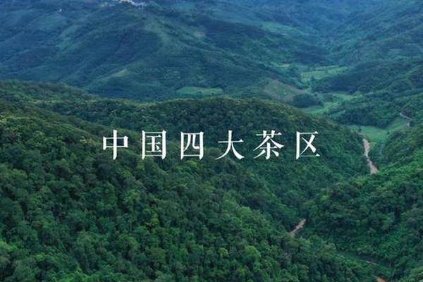 中国茶文化之乡(中国茶叶第一镇)