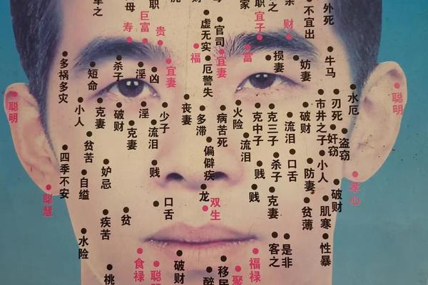 男人富贵面相痣相_男人大富大贵的痣相