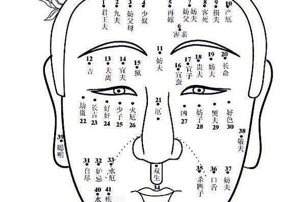 女麻衣神相痣的图解(麻衣神相 痣)