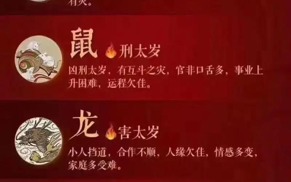 属兔2023年是什么命 属兔2023年是什么命
