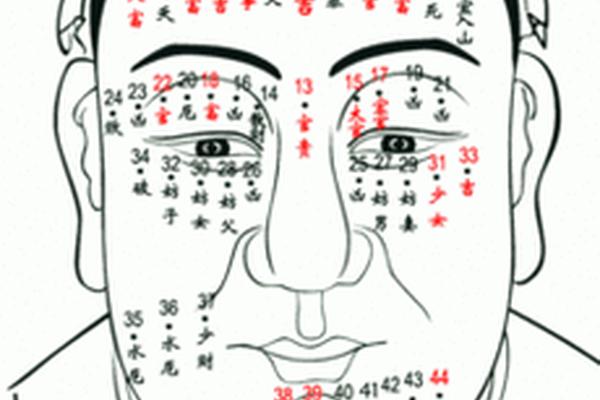 男人下颌痣相—男人面部痣相最新图解