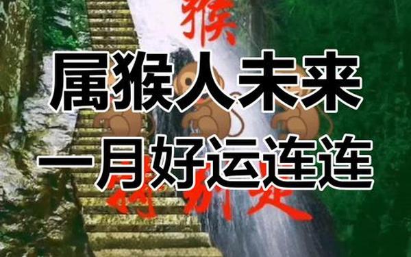 68年的女猴今天的财运怎么样,1968年属猴女今日运势 68年的女猴今天的财运怎么样,1968年属猴女今日运势