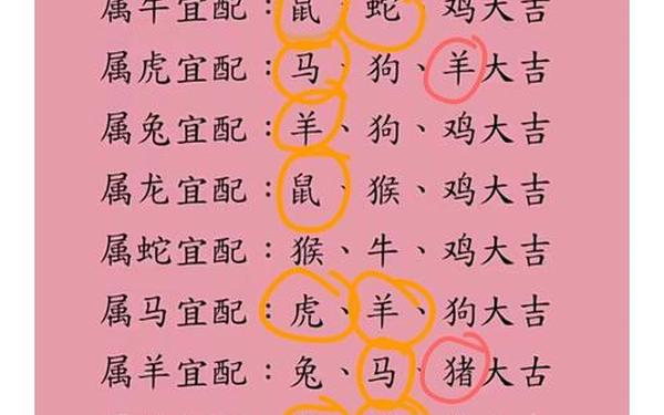 属虎的和属马的合吗_属虎和属马结合好不好 属虎的和属马的合吗_属虎和属马结合好不好