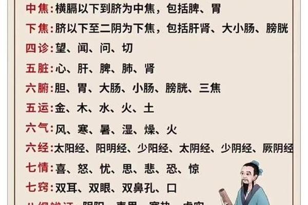 中国优秀传统文华,中医传统文化