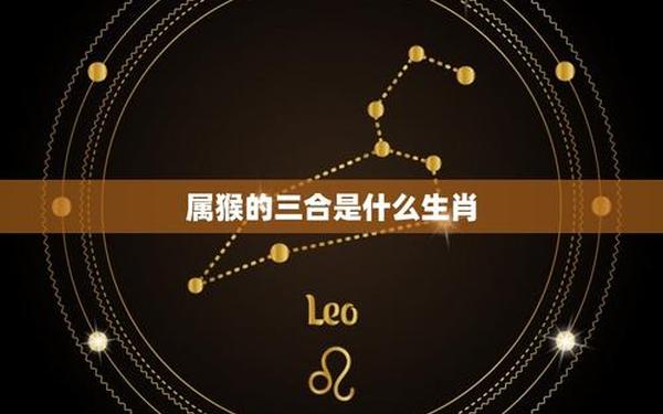 属猴和什么属相最好—猴和什么属相合 属猴和什么属相最好—猴和什么属相合