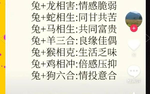 属兔的性格特点有哪些女生 属兔的性格特点有哪些女生