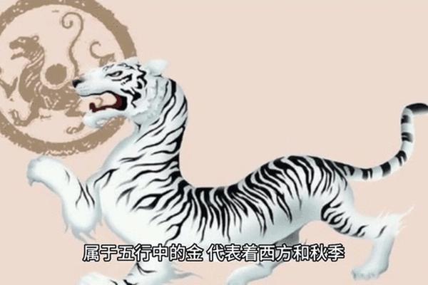 痣相 白虎是什么意思,狐狸痣代表什么意思 痣相 白虎是什么意思,狐狸痣代表什么意思