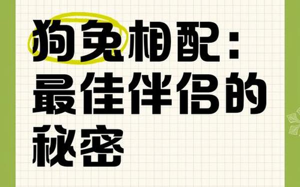 属狗跟属兔的人相配吗 属狗跟属兔的人相配吗