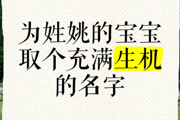 姚起名男宝宝取名