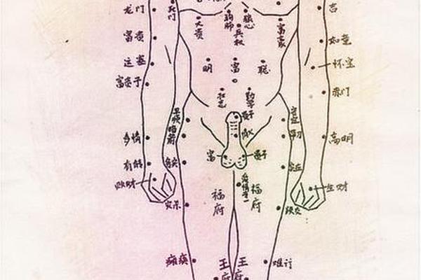 痣相女人身上的相图解—女人全身痣的好坏图解