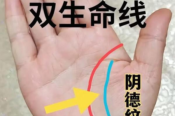 元宝纹掌相男左手有痣_元宝纹分左右手吗