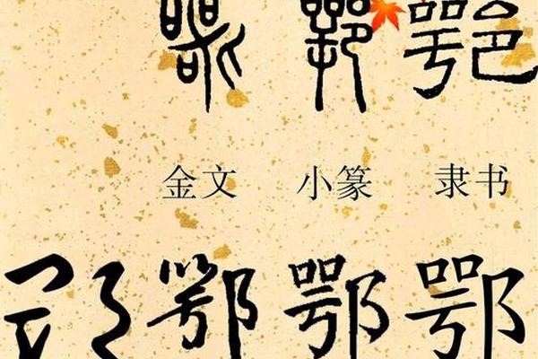 解姓名字大全怎么读