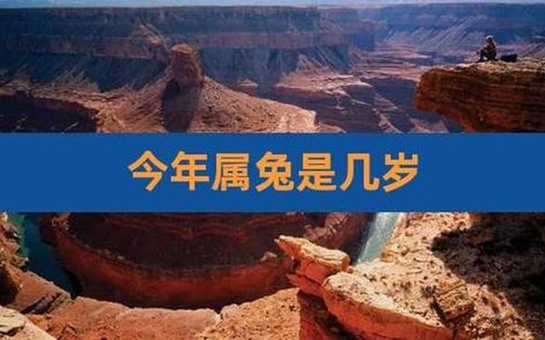 2023属兔的多大了 2023属兔的多大了