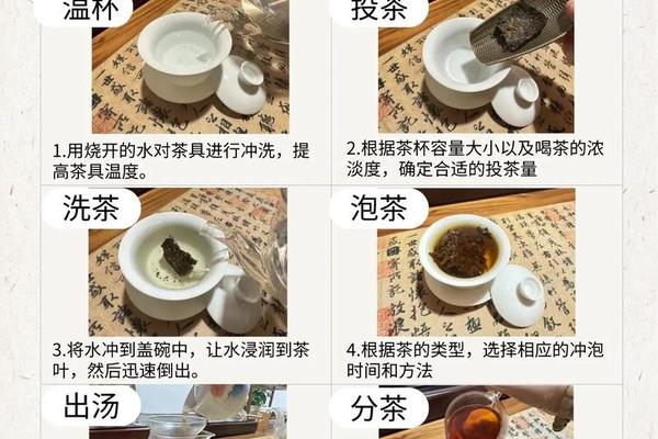 茶文化图片 正确的茶道流程顺序
