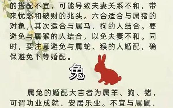 属兔女人性格脾气特点缺点 属兔女人性格脾气特点缺点